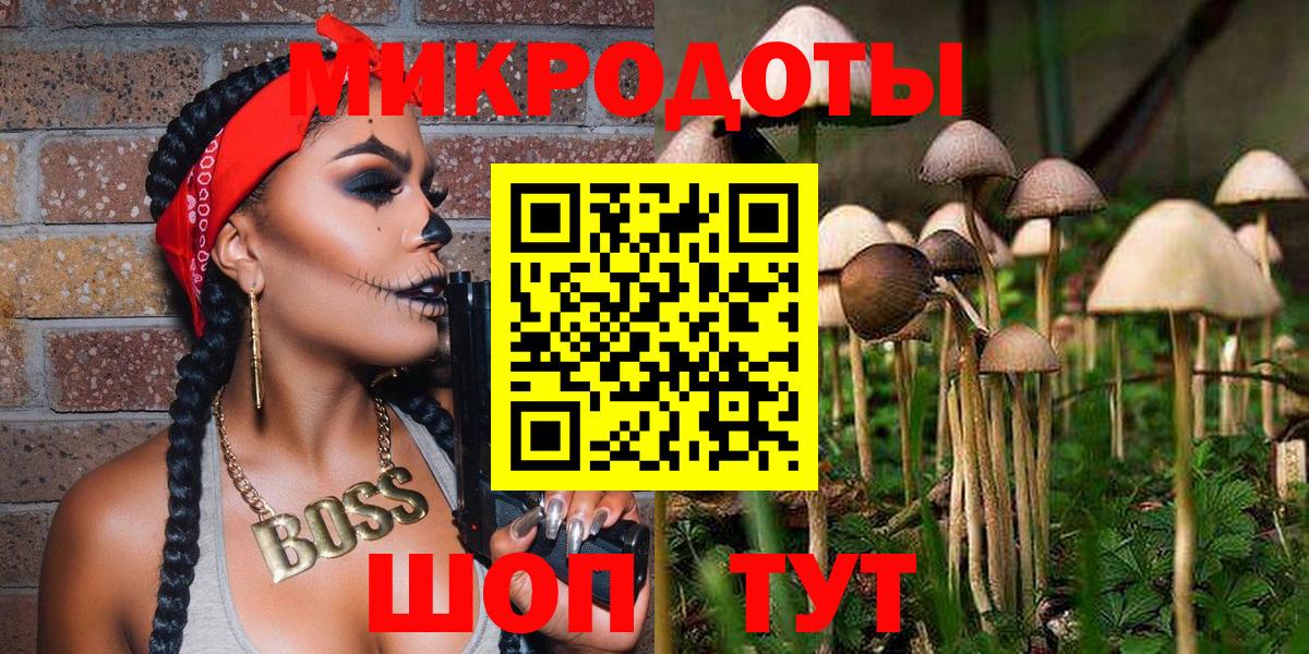 Галлюциногенные грибы MAGIC MUSHROOMS  Вход с VPN  Отрадное 