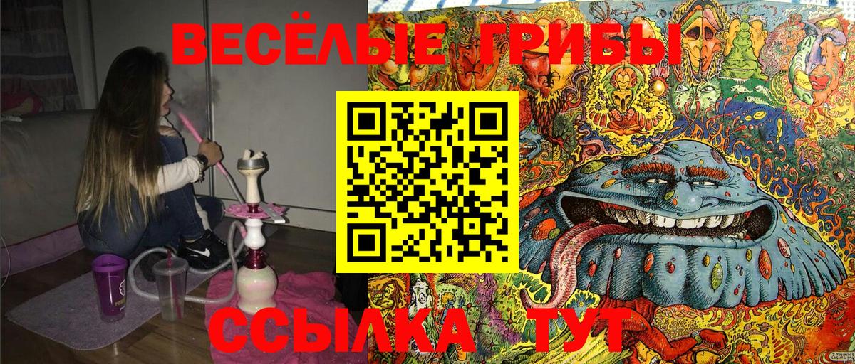 Псилоцибиновые грибы MAGIC MUSHROOMS Отрадное